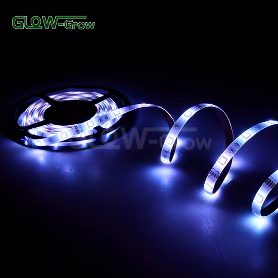 Venda por atacado à prova d'água Bluetooth SMD 5050 RGB Luzes de tira LED para decoração de Natal de sala de casa 5m / 10m / 15m / 20m